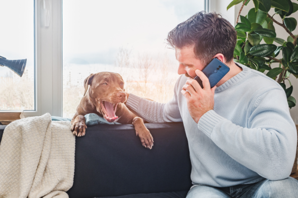 Pet Owner asking if their dog can come over