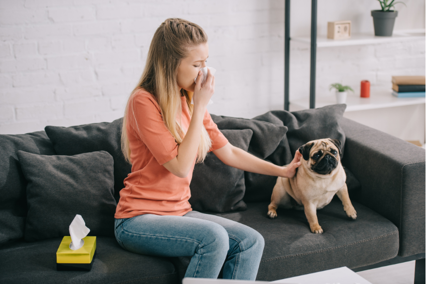 allergic to dog