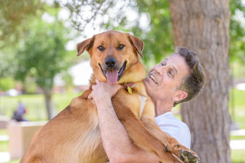 best dog boarding near me
