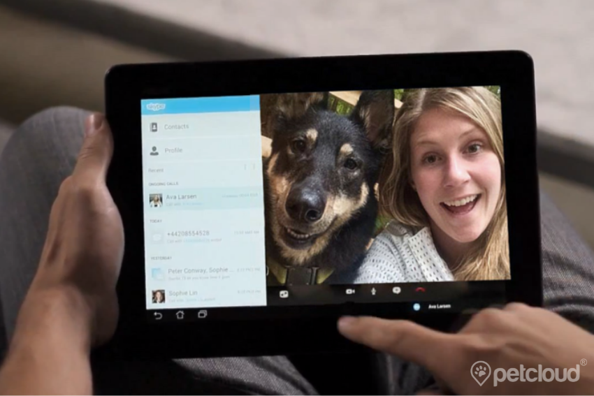 how pet sitters can have great communication with clients