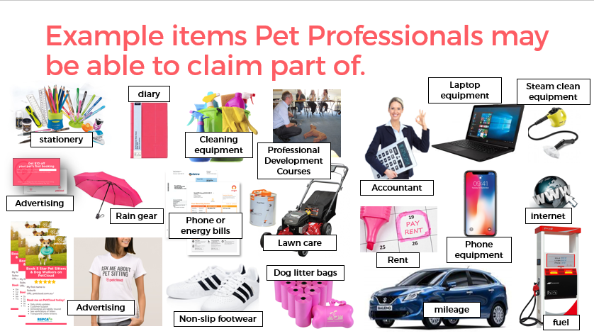 A collage lists items pet professionals may claim as tax deductions, including stationery, diary, advertising, cleaning gear, rain gear, phone/bills, Adidas shoes, development courses, accountant fees, pet sitter tax expenses, laptop, fuel and more.