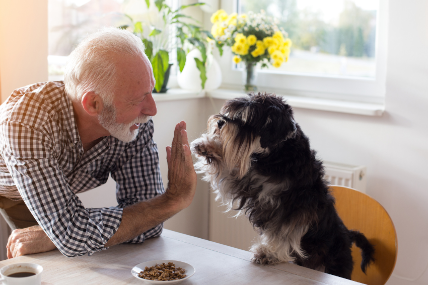 senior man with small dog