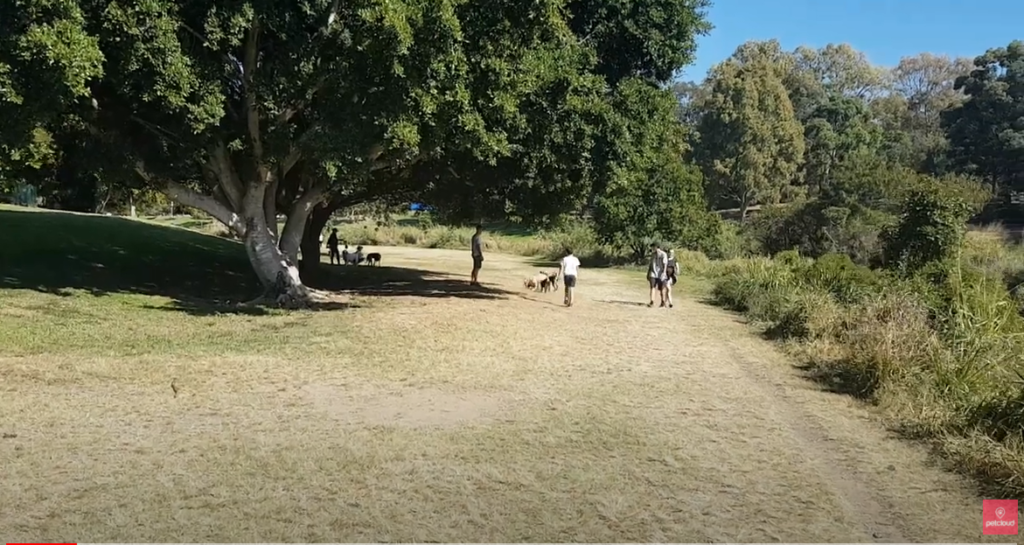 kedron brook offleash park