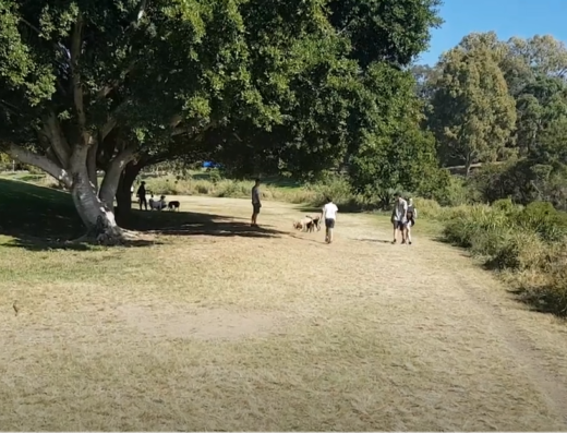 kedron brook offleash park
