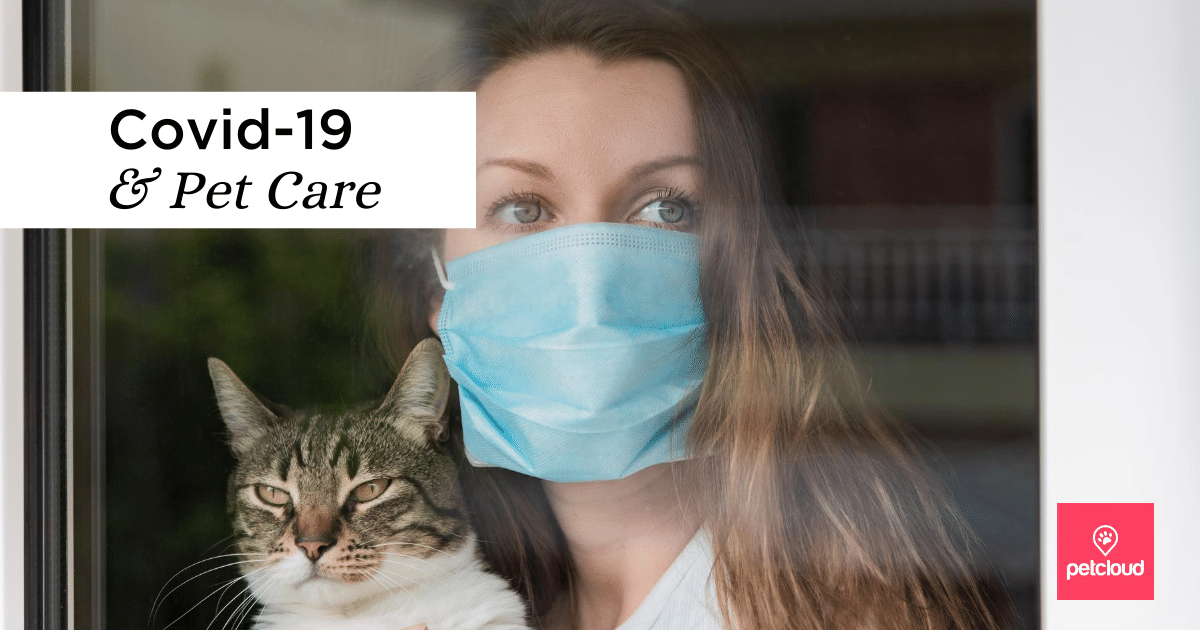 Covid19 and your Pet’s Care