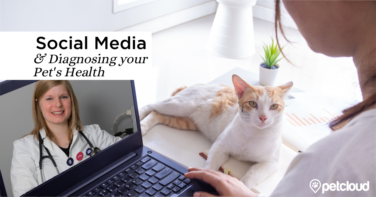 Why Diagnosing Your Pet’s Health Problems on Social Media is not the Best Idea.