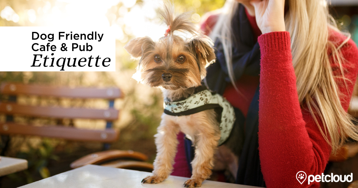 Dog Friendly Café & Pub Etiquette