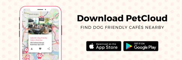 A smartphone displaying a map with dog-friendly cafes highlighted. The text on the right reads, "Download PetCloud - Find Dog Friendly Cafes Nearby." Icons for downloading on the App Store and Google Play are shown below the text. Background with light patterns.