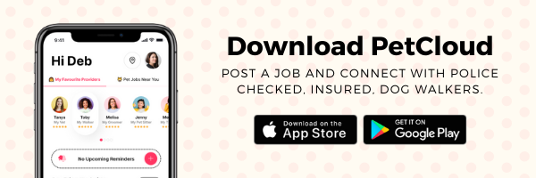 Image of a smartphone showcasing the PetCloud app interface. Text reads, "Download PetCloud. Post a job and connect with police-checked, insured dog walkers nearby." App Store and Google Play logos are displayed. The background features a light pattern.