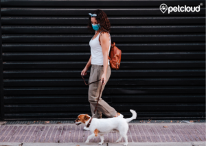 A woman wearing a face mask walks her small, white dog on a leash. She is dressed casually in a white tank top, light brown pants, and sneakers, carrying a brown backpack. They are strolling alongside a black, ridged wall with the PetCloud logo in the top right corner.