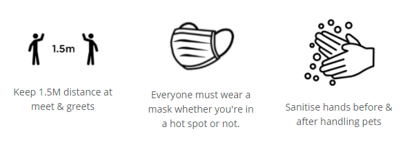 Three icons convey COVID-19 safety measures: 1.5-meter distance between people with text "Keep 1.5M distance at meet & greets", a mask with the text "Everyone must wear a mask whether you're in a hot spot or not," and handwashing with text "Sanitise hands before & after handling pets.