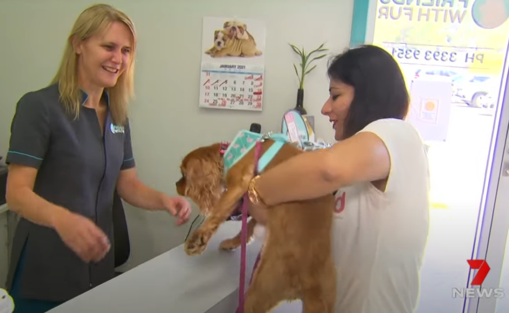 A woman is lifting a small brown dog onto a vet's counter while the smiling vet assists. They are inside an animal clinic adorned with a calendar featuring puppies. Sunlight streams through the window, and a Pet Taxi rests nearby, ready for their next trip.