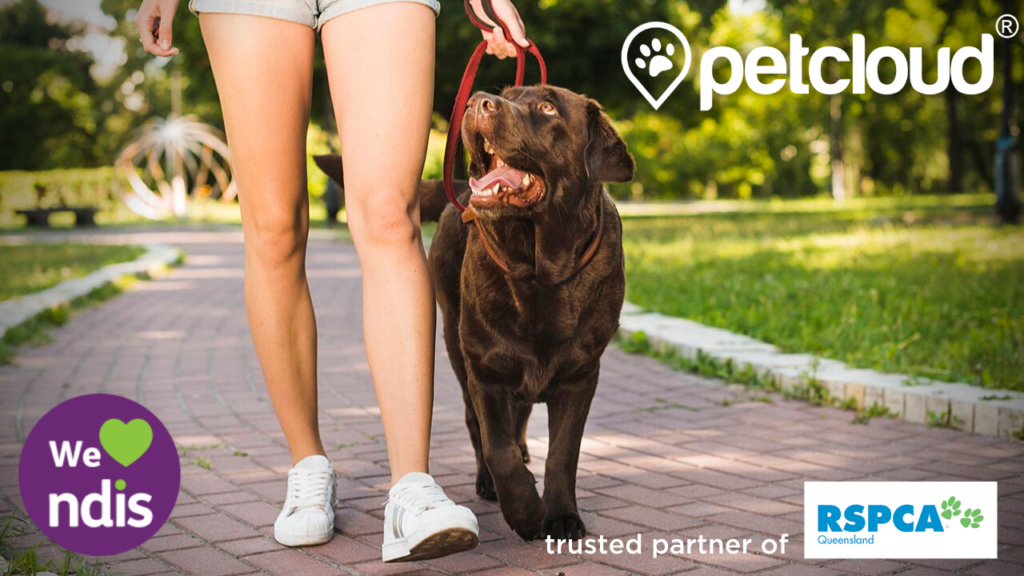 NDIS Pet Care, PetCloud, Pets, Assistance with Personal Domestic Duties