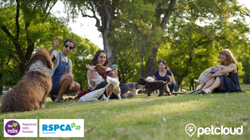 NDIS Dog Walkers. PetCloud's Dog Walkers doing NDIS Community Participation at local parks.