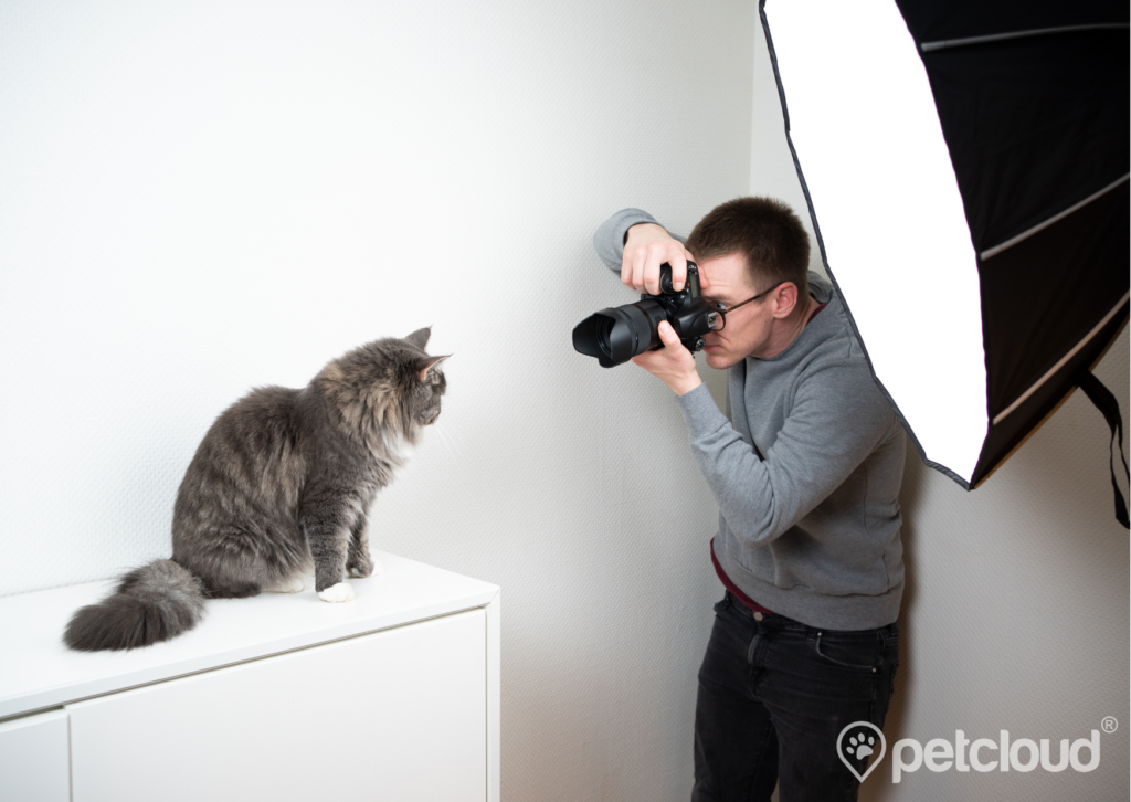 Pet Jobs with PetCloud you can get Pet Photographer Jobs