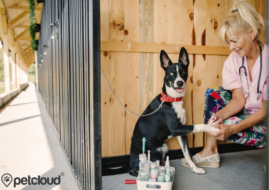 Pet Jobs with PetCloud you can get Animal Shelter Veterinarian Jobs with PetCloud