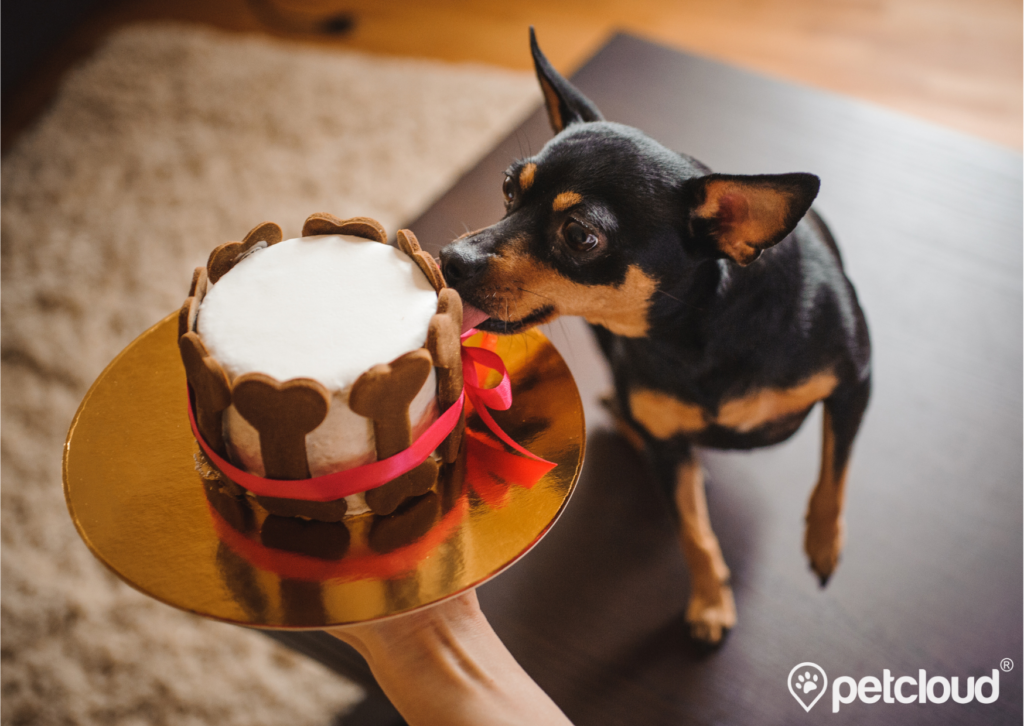 Pet Jobs with PetCloud you can get Dog Baker, Pet Baker, Pet Chef Jobs