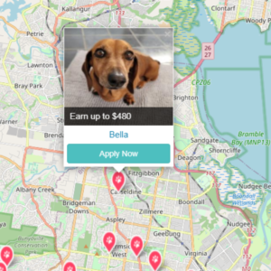 PetCloud has Pet Jobs in Brisbane Qld