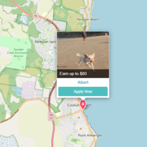 PetCloud has Pet Jobs on the Sunshine Coast in Qld in Noosa and Coolum Beach, and Peregian Springs