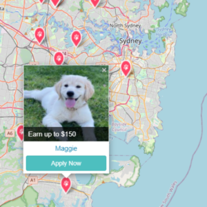 Pet Jobs in Sydney on the PetCloud Pet Jobs board