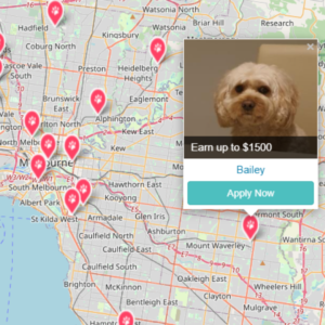 PetCloud has Pet Jobs in Melbourne