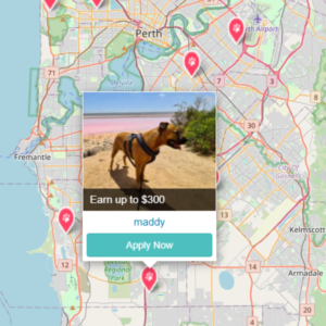 Pet Jobs in Perth with PetCloud