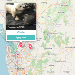 PetCloud has Pet Jobs in Adelaide South Australia