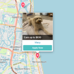 Pet Jobs on the Gold Coast with PetCloud