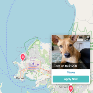 Pet Jobs in Darwin with PetCloud