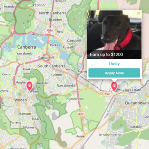 PetCloud has Pet Jobs in Canberra, ACT