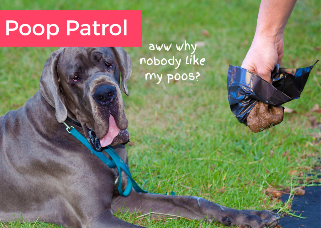 Pet Jobs, Poo Patrol, PetCloud
