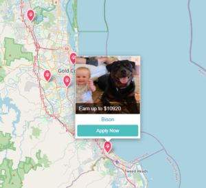 Pet Jobs with PetCloud you can get Pet Sitter Jobs