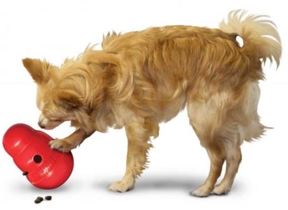 A fluffy tan dog is playing with a red, hollow, cylindrical toy on the ground. The dog uses its paw to interact with the toy, from which a few small brown treats have fallen out. The dog appears focused on the toy.