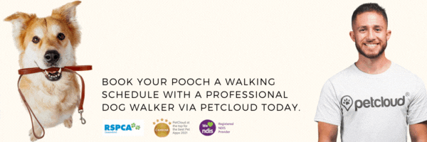 A smiling man wearing a Petcloud t-shirt stands next to a dog holding a leash in its mouth. Text reads: "Book your pooch a walking schedule with a professional dog walker via Petcloud today." RSPCA Cupcake Day, PetCloud, and NDIS logos are displayed at the bottom.