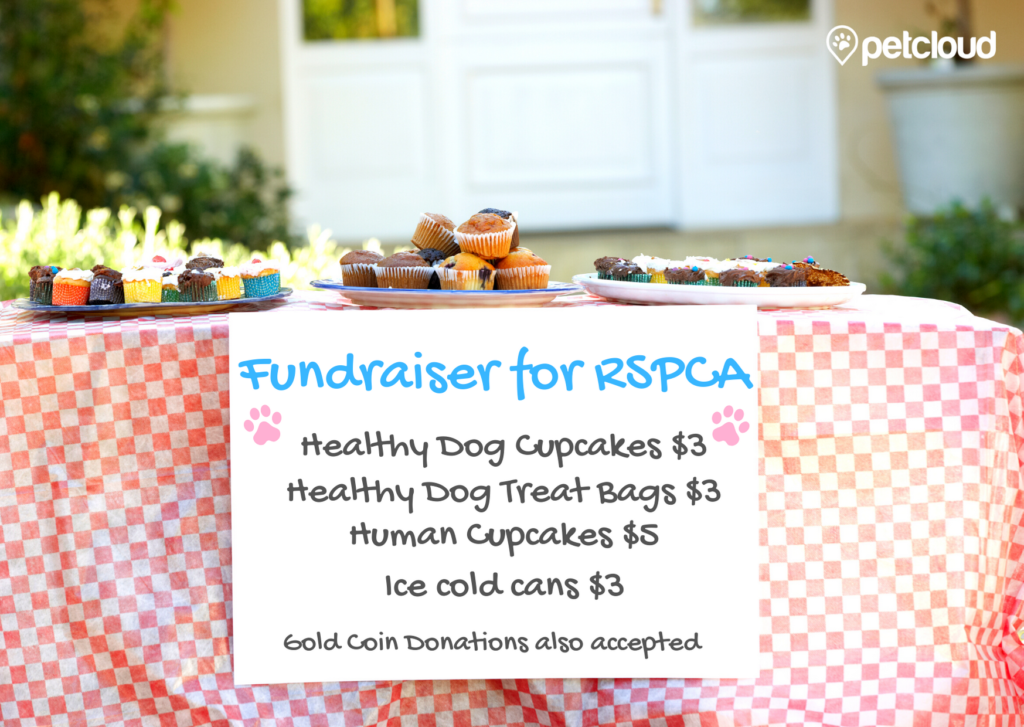 A table covered with a red and white checkered cloth holds various cupcakes and treats. A sign in front reads: "Fundraiser for RSPCA Cupcake Day. Healthy Dog Cupcakes $3, Healthy Dog Treat Bags $3, Human Cupcakes $5, Ice cold cans $3. Gold Coin Donations also accepted.