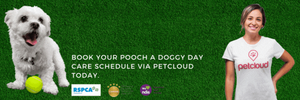 A promotional banner features a small white dog next to a tennis ball on the left, and a smiling woman in a PetCloud T-shirt on the right. Text reads, "Book your pooch a doggy daycare schedule via PetCloud today and remove pet stains from carpet with ease." Logos for RSPCA, PetCloud, and other sponsors are displayed.