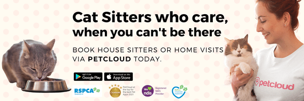 Cat Sitter near me, House Sitter, Brisbane Cat Sitter, Sydney Cat Sitter, Melbourne Cat Sitter, Cattery, Perth Cat Sitter, Darwin Cat Sitter, Canberra Cat Sitter, Adelaide Cat Sitter, Hobart Cat Sitter.