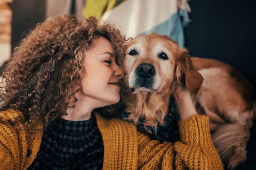 Senior Dog Care and Special Needs Pet Care