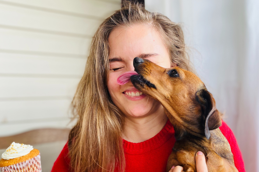 dog licking owners face, dog saying i love you