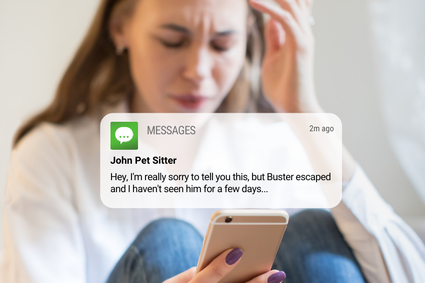 9 Pet Sitter Booking Blunders that could Wreck Your Holiday