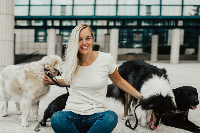 how to start a dog walking business, petcloud