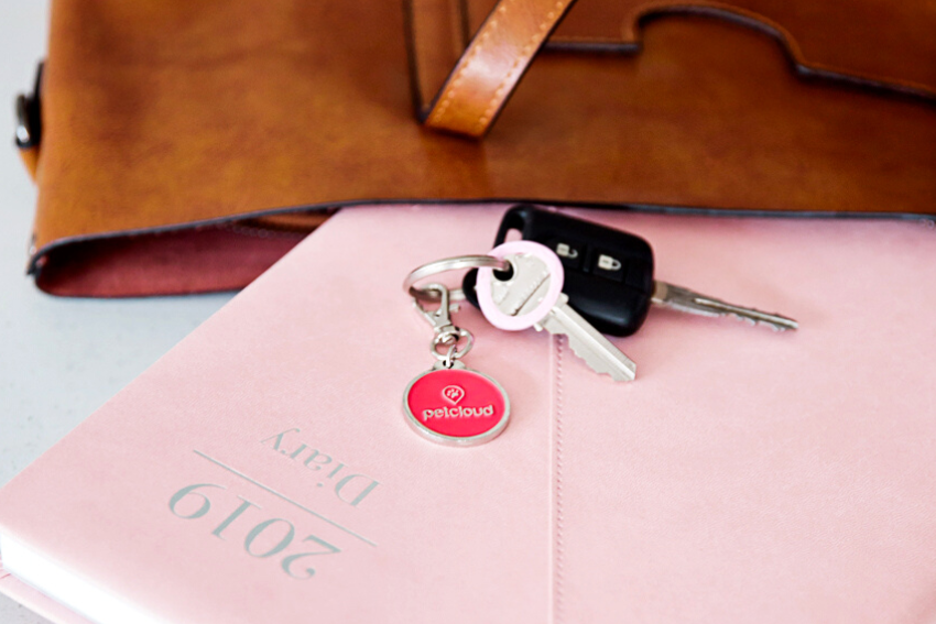 A close-up of a pink 2019 diary with a keychain on top, featuring a circular red tag and two keys—a perfect organizer for a professional pet sitter. A brown leather bag is partially visible in the background.