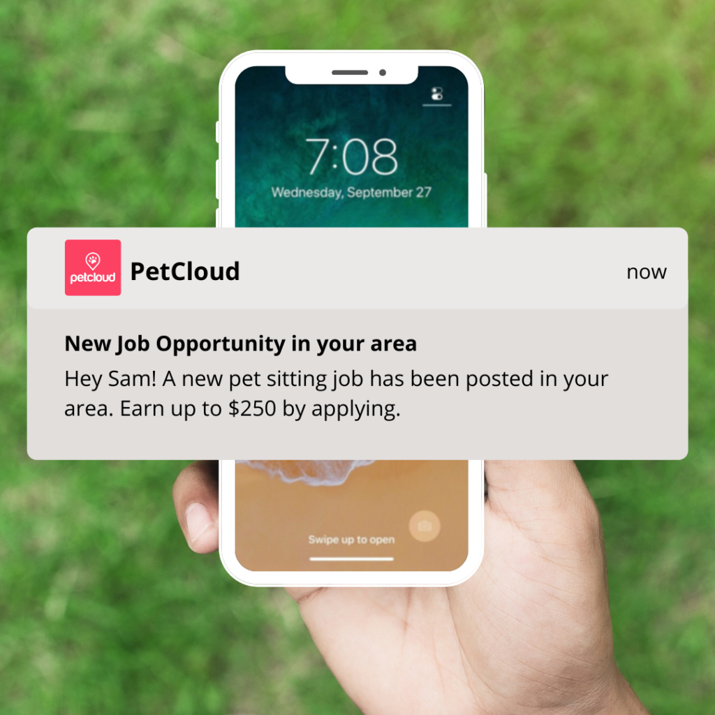 pet jobs, petcloud, free pet jobs board, part time work from home, side job, jobs for seniors, jobs for students