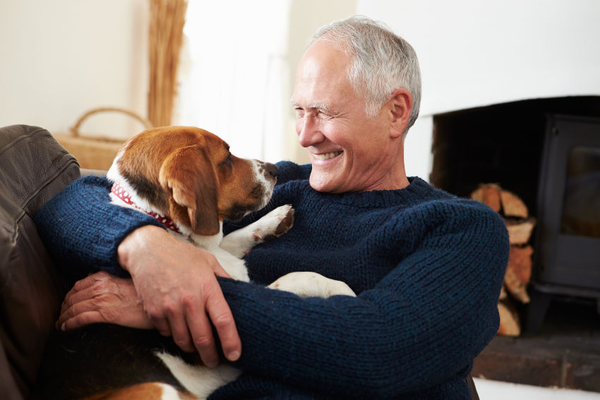 jobs for seniors, petcloud, part time work from home,