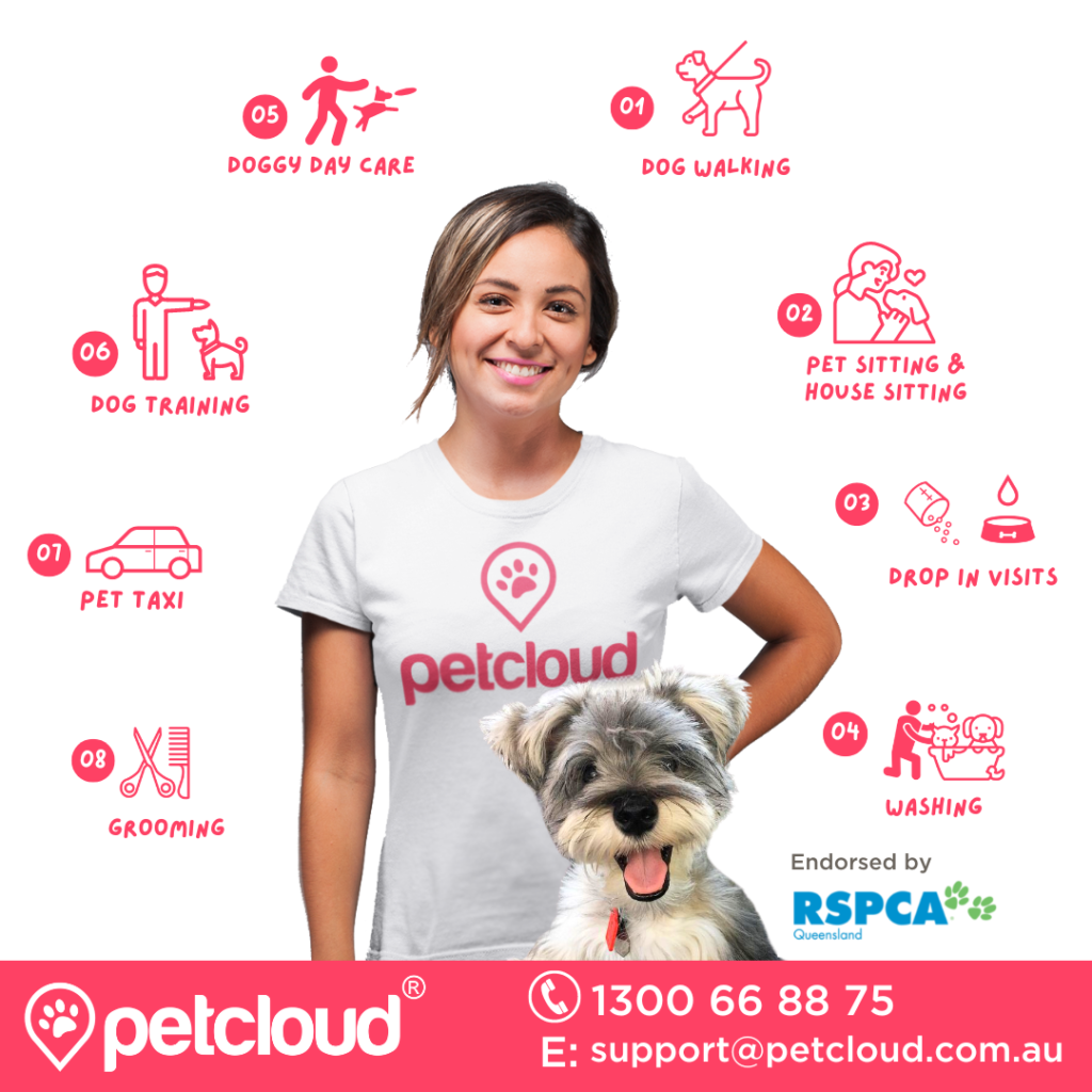 best pet sitting website