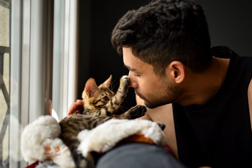 cat sitter