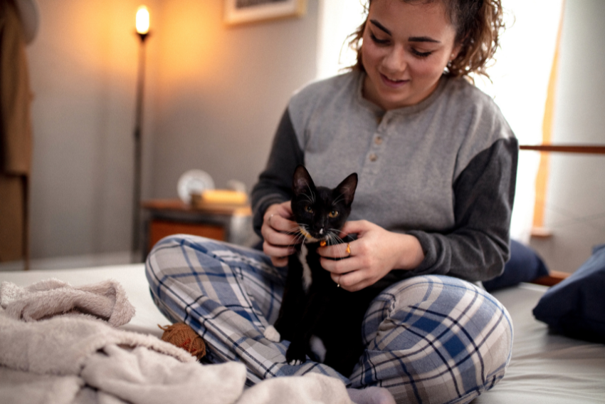 A person wearing plaid pajama pants and a gray shirt is sitting on a bed, gently holding a black kitten. The room is softly lit with a floor lamp in the background and some cozy blankets are visible on the bed, creating the perfect atmosphere for any cat sitter.