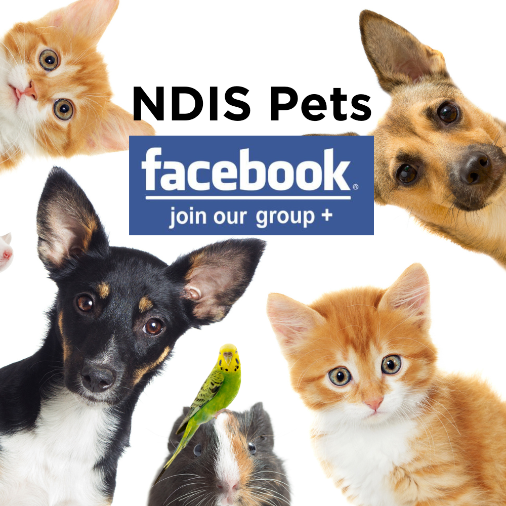 ndis pets facebook group