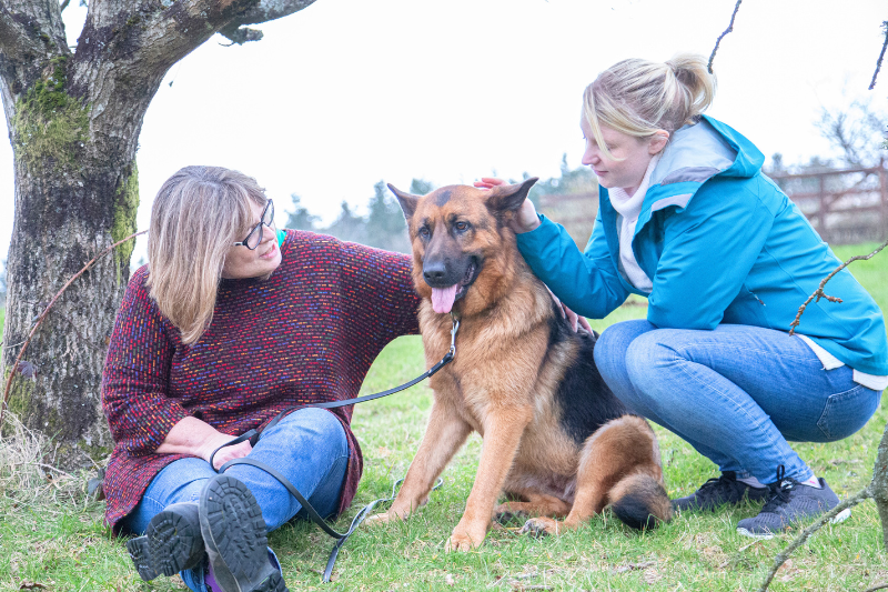 ndis dog walking, social prescribing, community and recreation, ndis registered provider, petcloud