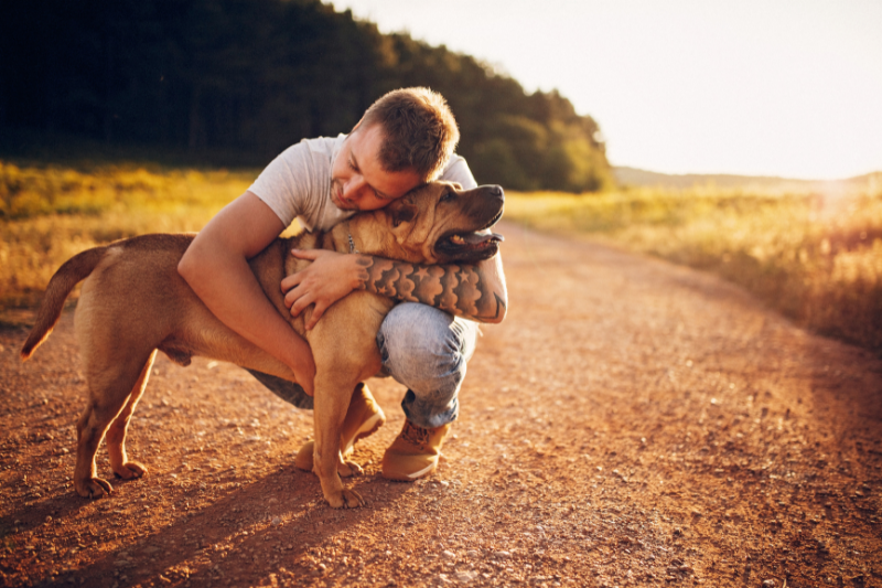 A person crouches on a sunlit dirt path, hugging a happy dog trained in psychiatric assistance. They both appear to be enjoying the moment. The background features a forested area and a clear sky, illustrating the serene role such dogs play in recovery support.